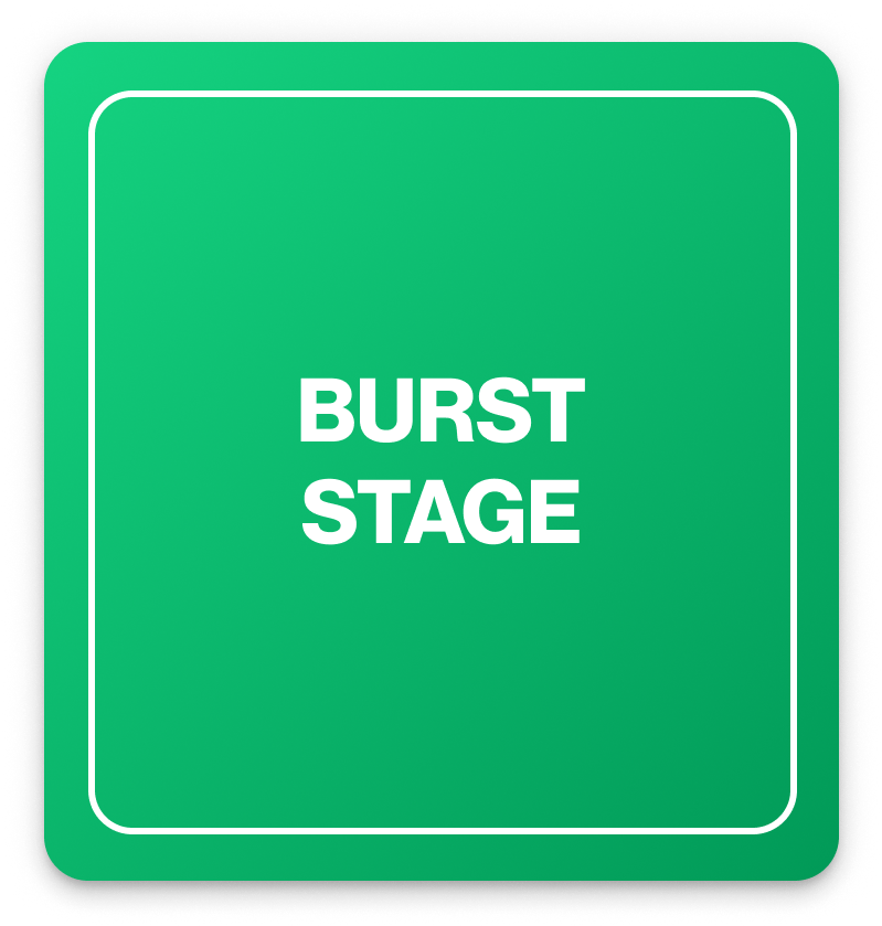 specail stage